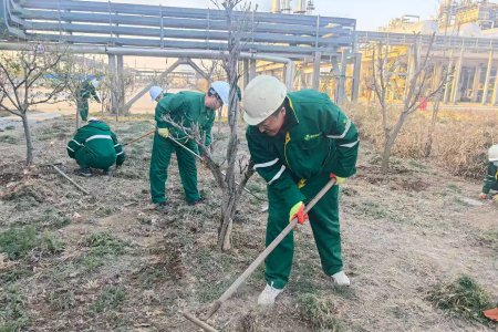 春植新绿，共筑花园工厂