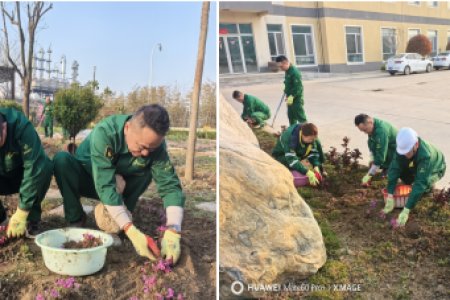 春启新绿 共筑家园 —— 锐丰源化工 2026 年厂区绿化种花工作全面启动