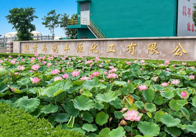 厂区荷花池